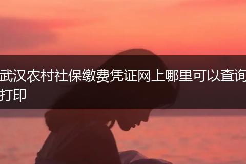 武汉农村社保缴费凭证网上哪里可以查询打印