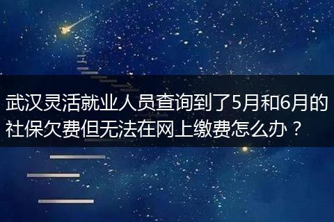 武汉灵活就业人员查询到了5月和6月的社保欠费但无法在网上缴费怎么办？