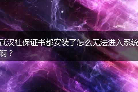 武汉社保证书都安装了怎么无法进入系统啊？