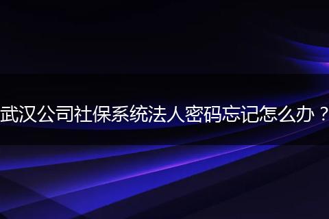 武汉公司社保系统法人密码忘记怎么办？
