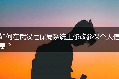 如何在武汉社保局系统上修改参保个人信息？