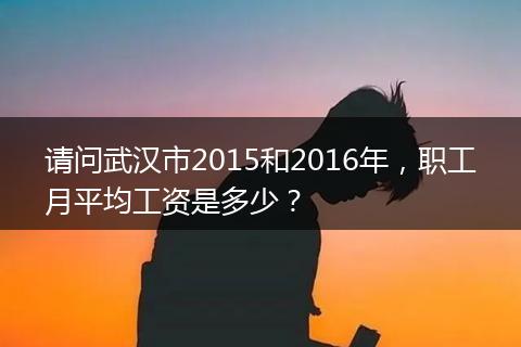 请问武汉市2015和2016年，职工月平均工资是多少？
