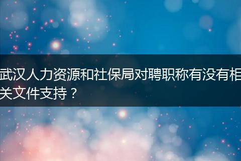 武汉人力资源和社保局对聘职称有没有相关文件支持？