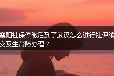襄阳社保停缴后到了武汉怎么进行社保续交及生育险办理？