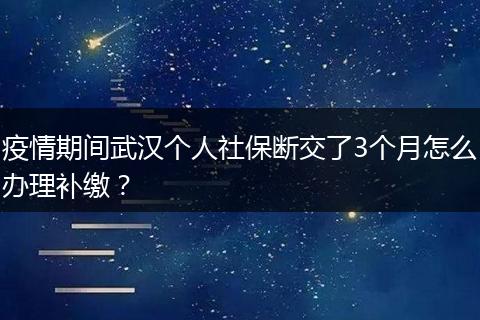 疫情期间武汉个人社保断交了3个月怎么办理补缴？