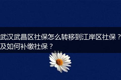 武汉武昌区社保怎么转移到江岸区社保？及如何补缴社保？