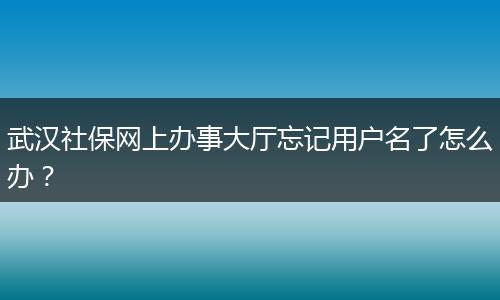 武汉社保网上办事大厅忘记用户名了怎么办？