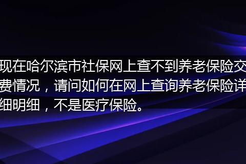 现在哈尔滨市社保网上查不到养老保险交费情况，请问如何在网上查询养老保险详细明细，不是医疗保险。