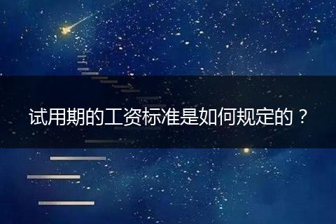 试用期的工资标准是如何规定的？