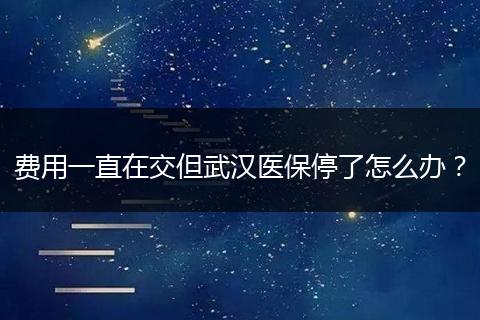 费用一直在交但武汉医保停了怎么办？
