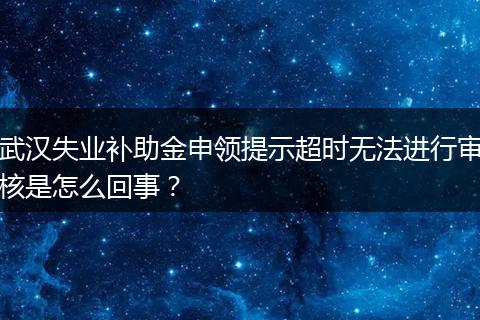 武汉失业补助金申领提示超时无法进行审核是怎么回事？