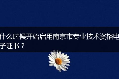 什么时候开始启用南京市专业技术资格电子证书？