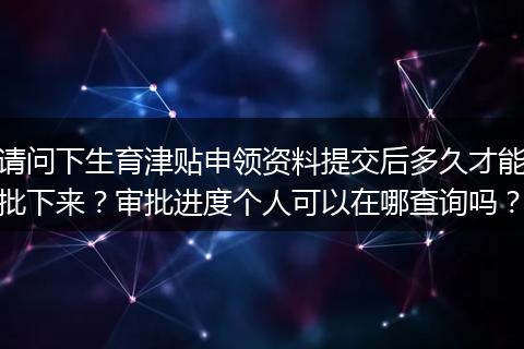 请问下生育津贴申领资料提交后多久才能批下来？审批进度个人可以在哪查询吗？