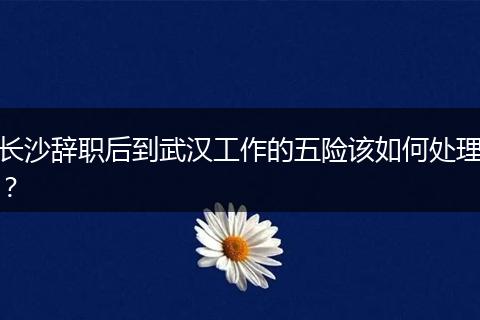 长沙辞职后到武汉工作的五险该如何处理？