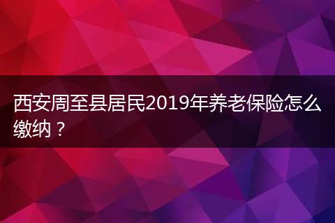 西安周至县居民2019年养老保险怎么缴纳？