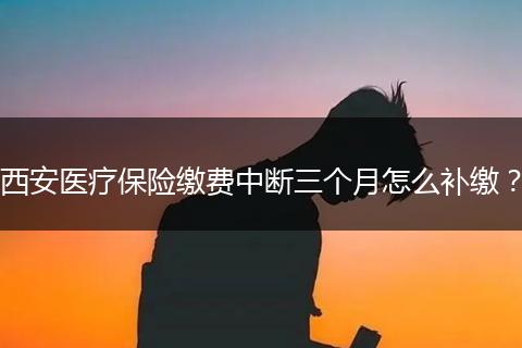 西安医疗保险缴费中断三个月怎么补缴？