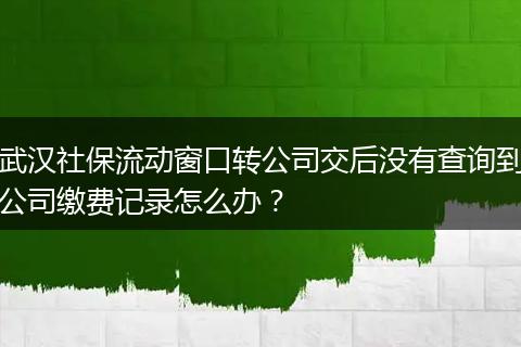 武汉社保流动窗口转公司交后没有查询到公司缴费记录怎么办?