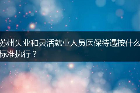 苏州失业和灵活就业人员医保待遇按什么标准执行？