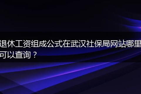 退休工资组成公式在武汉社保局网站哪里可以查询？