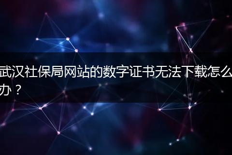 武汉社保局网站的数字证书无法下载怎么办？