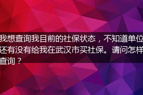 我想查询我目前的社保状态，不知道单位还有没有给我在武汉市买社保。请问怎样查询？