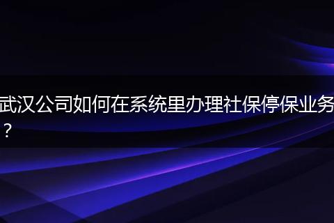 武汉公司如何在系统里办理社保停保业务？