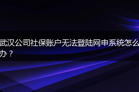 武汉公司社保账户无法登陆网申系统怎么办？