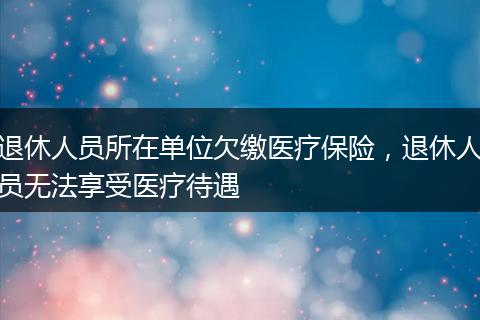 退休人员所在单位欠缴医疗保险，退休人员无法享受医疗待遇