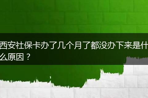 西安社保卡办了几个月了都没办下来是什么原因？