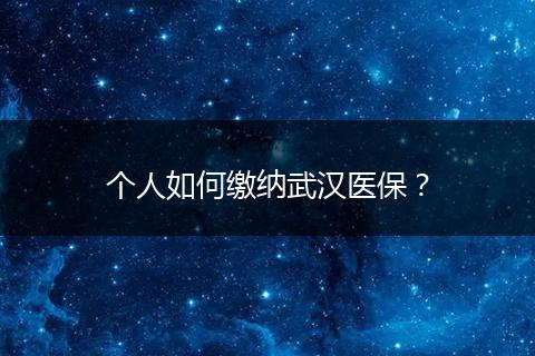 个人如何缴纳武汉医保？