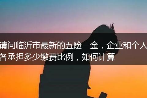 请问临沂市最新的五险一金，企业和个人各承担多少缴费比例，如何计算