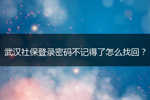 武汉社保登录密码不记得了怎么找回？