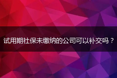 试用期社保未缴纳的公司可以补交吗？