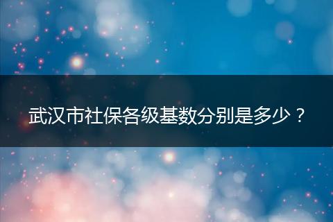 武汉市社保各级基数分别是多少？