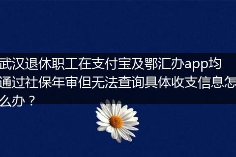 武汉退休职工在支付宝及鄂汇办app均通过社保年审但无法查询具体收支信息怎么办？