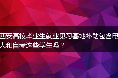 西安高校毕业生就业见习基地补助包含电大和自考这些学生吗？