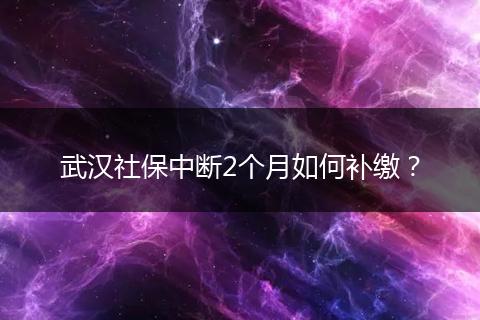 武汉社保中断2个月如何补缴？