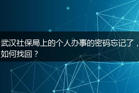 武汉社保局上的个人办事的密码忘记了，如何找回？