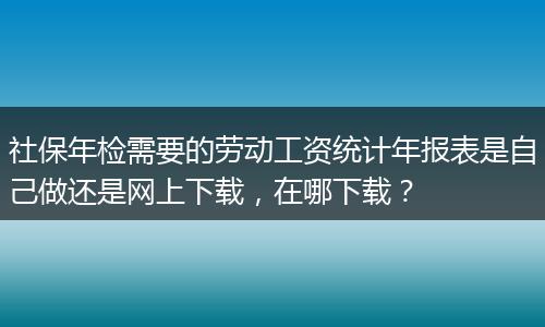社保年检需要的劳动工资统计年报表是自己做还是网上下载，在哪下载？