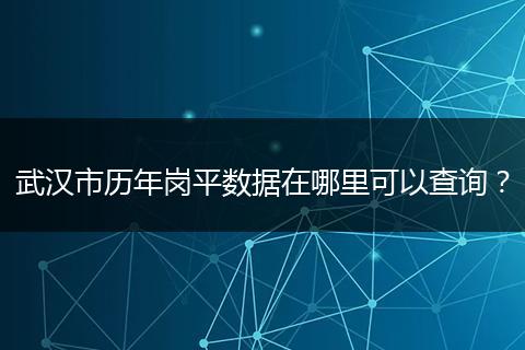 武汉市历年岗平数据在哪里可以查询？