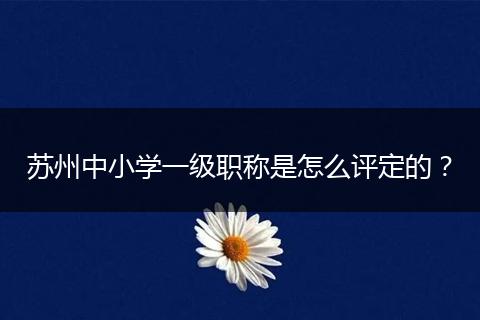 苏州中小学一级职称是怎么评定的？
