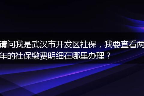 请问我是武汉市开发区社保，我要查看两年的社保缴费明细在哪里办理？