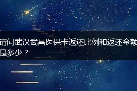 请问武汉武昌医保卡返还比例和返还金额是多少？