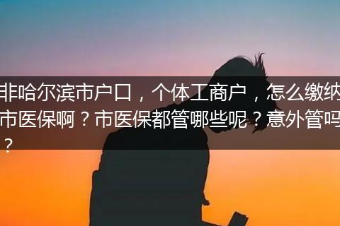 非哈尔滨市户口，个体工商户，怎么缴纳市医保啊？市医保都管哪些呢？意外管吗？