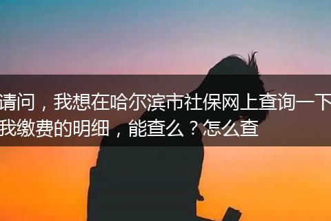 请问，我想在哈尔滨市社保网上查询一下我缴费的明细，能查么？怎么查