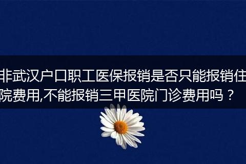非武汉户口职工医保报销是否只能报销住院费用,不能报销三甲医院门诊费用吗？