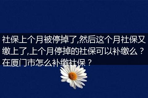 社保上个月被停掉了,然后这个月社保又缴上了,上个月停掉的社保可以补缴么？在厦门市怎么补缴社保？
