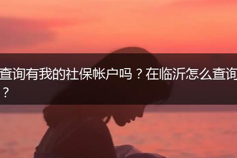 查询有我的社保帐户吗？在临沂怎么查询？
