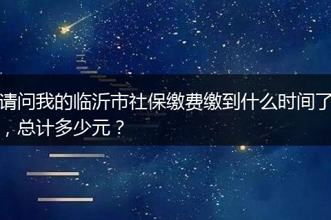 请问我的临沂市社保缴费缴到什么时间了，总计多少元？