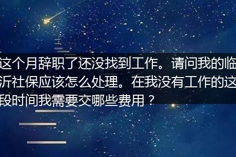 这个月辞职了还没找到工作。请问我的临沂社保应该怎么处理。在我没有工作的这段时间我需要交哪些费用？